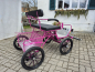 Preview: Leichte Mini Shetty Kutsche, Shettykutsche, Ponykutsche, Shetty Leicht