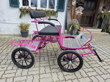 Leichte Mini Shetty Kutsche, Shettykutsche, Ponykutsche, Shetty Leicht