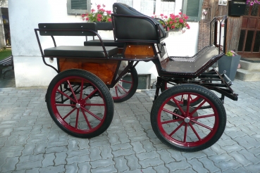 Sondermodell Vario Freizeitkutsche