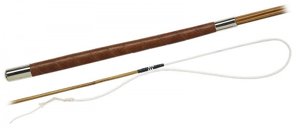 Fleck Bogenpeitsche Bambus ultraleicht